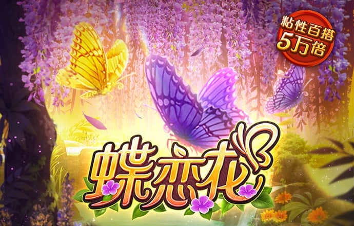 最新白菜彩金网站